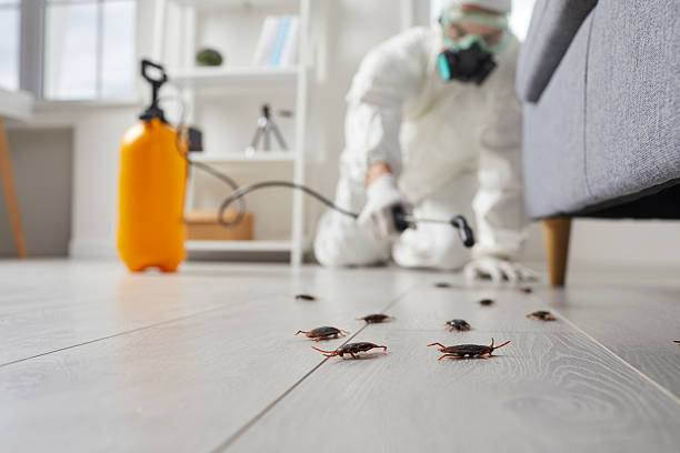 Commercial Kitchen Cockroach Control in Chehalis